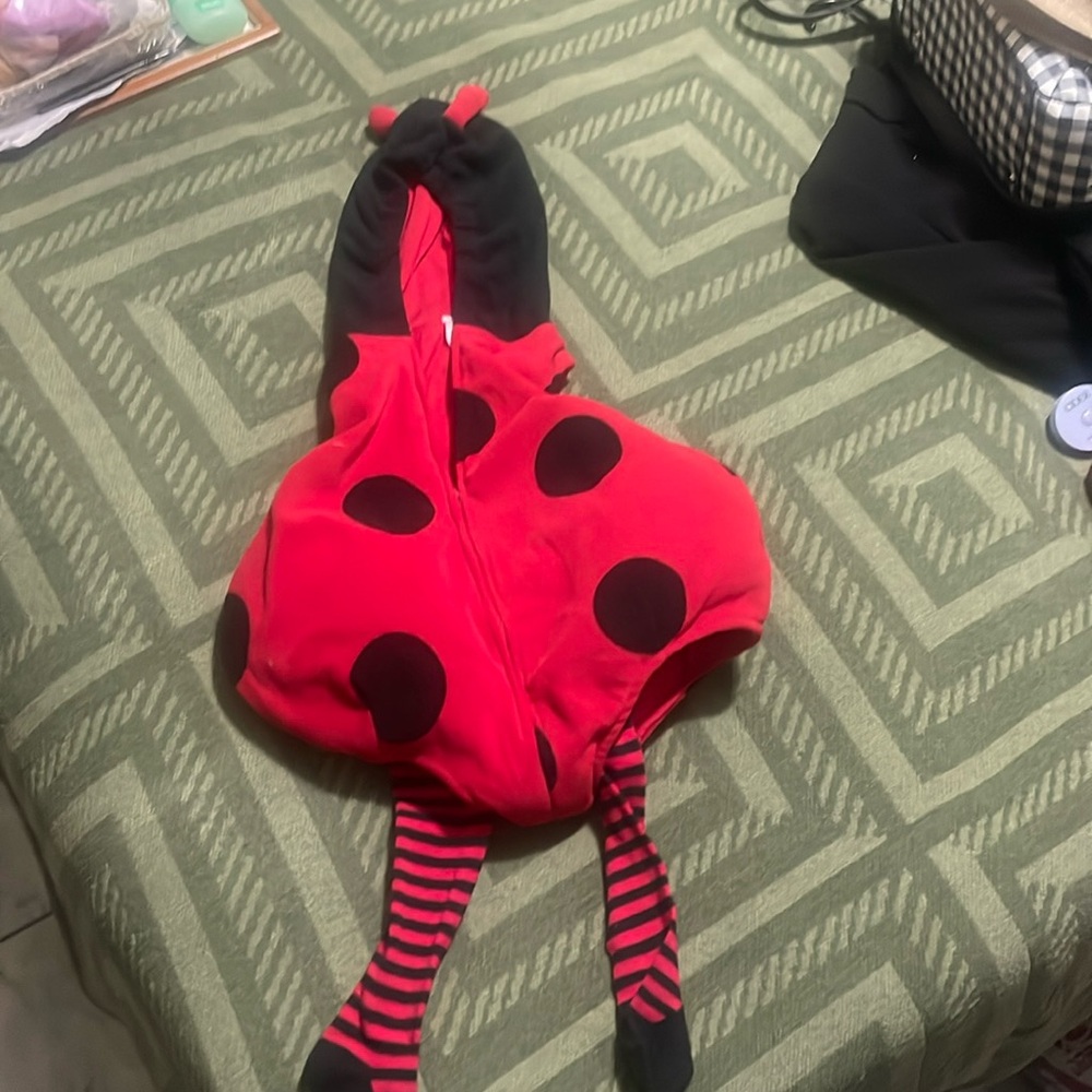 Carter’s ladybug costume